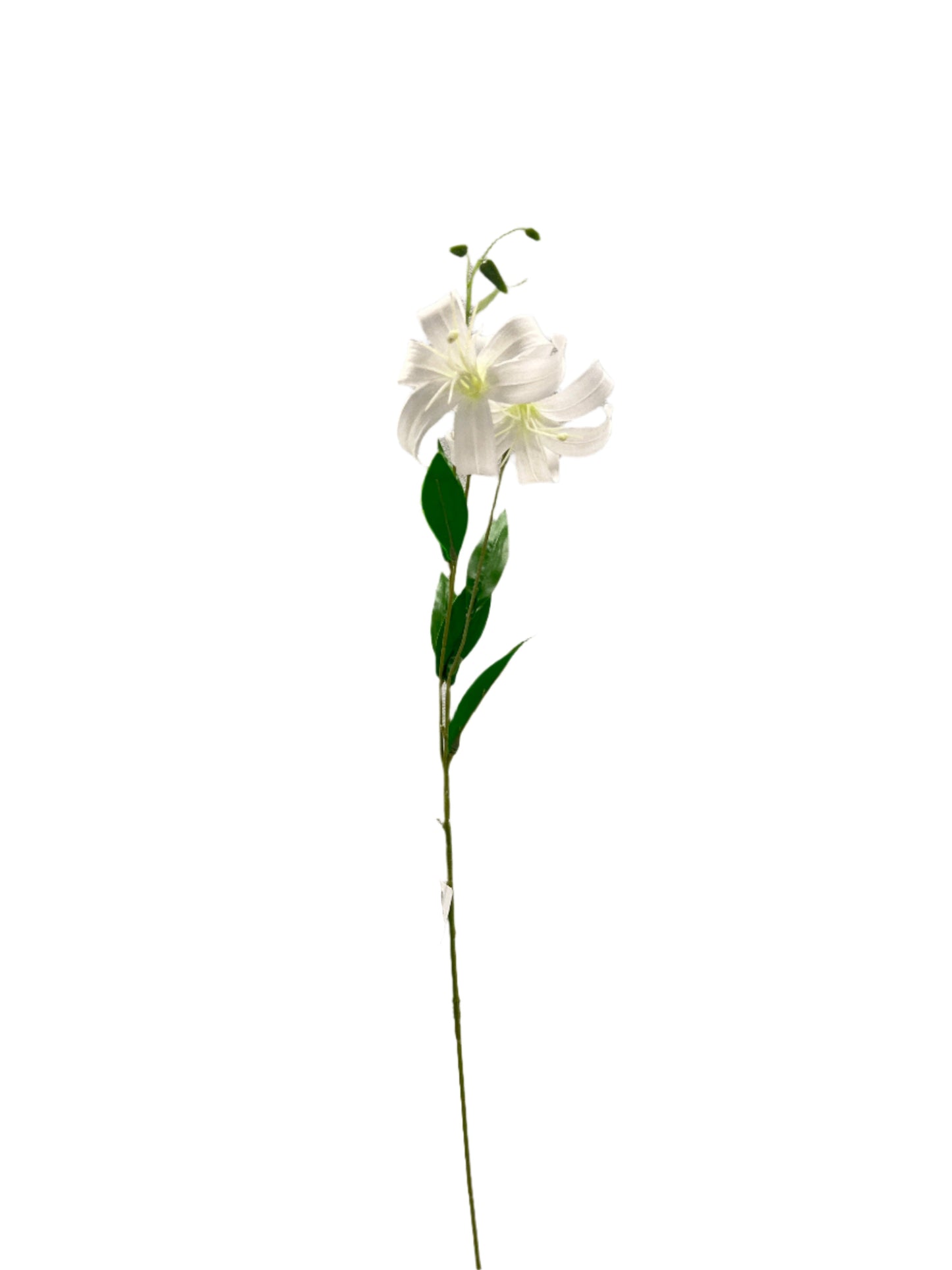 FL13573 LILY SPRAYx2F 31in-48/480P