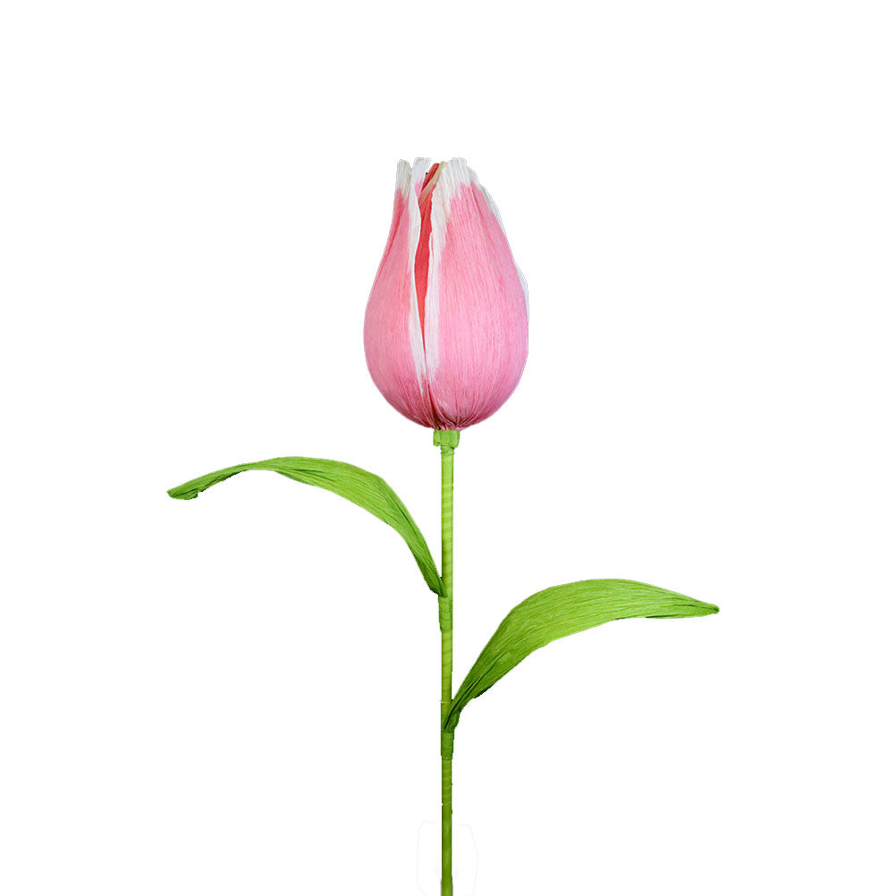 AC10101 GIANT TULIP,65in-8P/6.71'