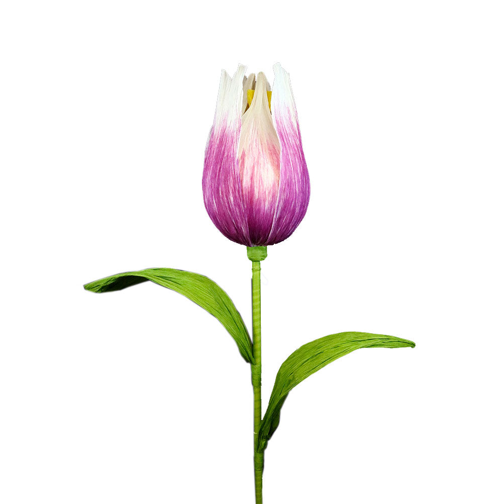 AC10101 GIANT TULIP,65in-8P/6.71'