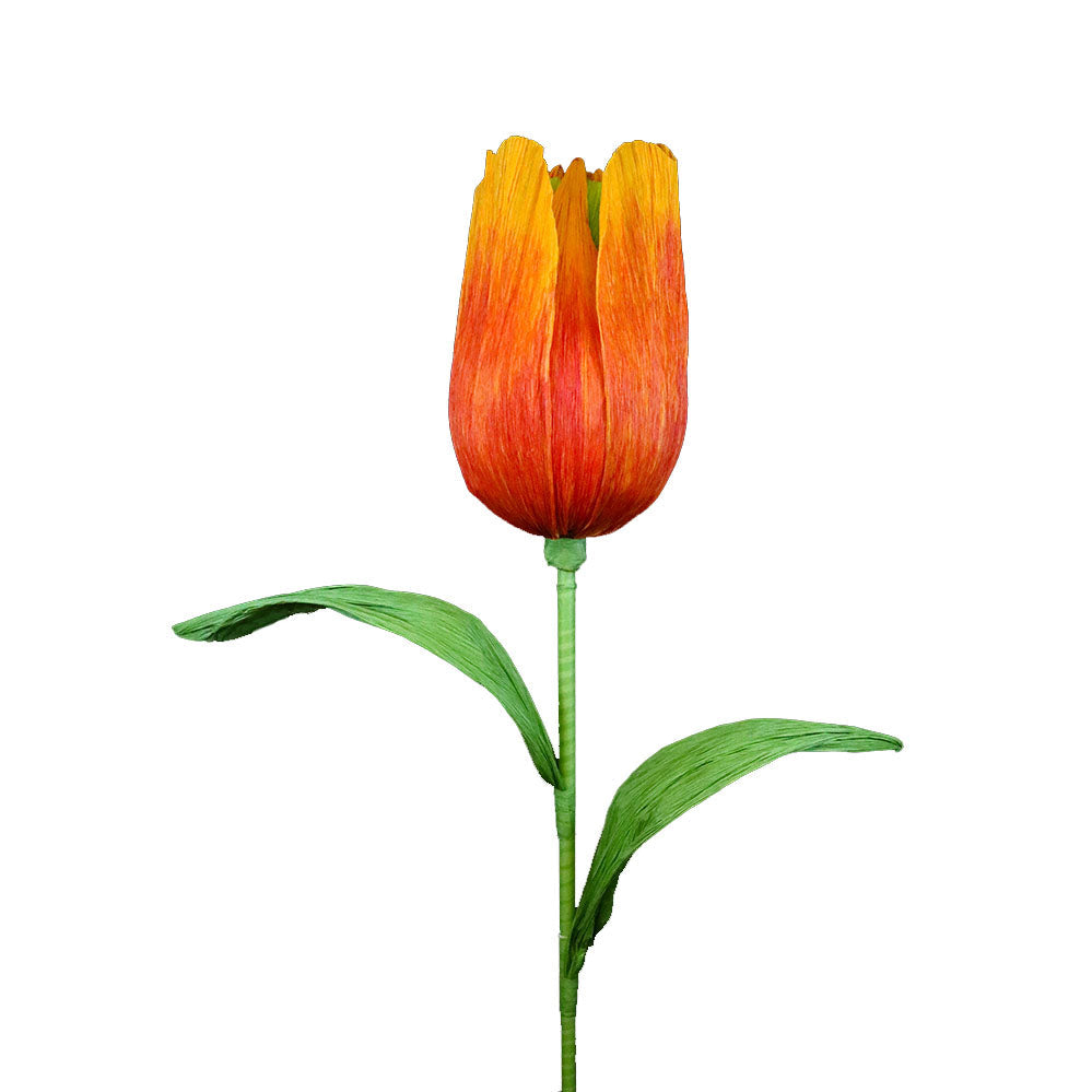 AC10101 GIANT TULIP,65in-8P/6.71'