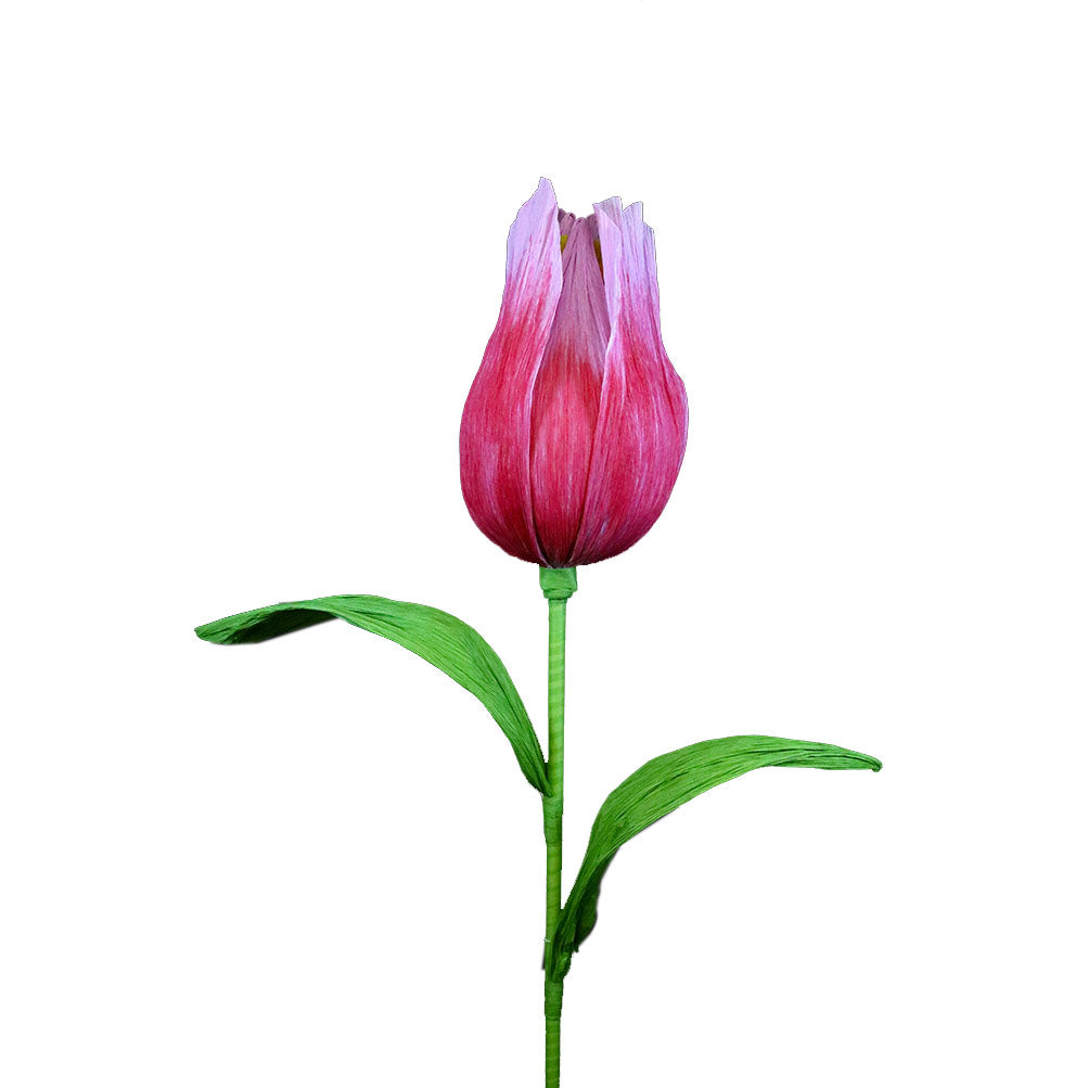 AC10101 GIANT TULIP,65in-8P/6.71'