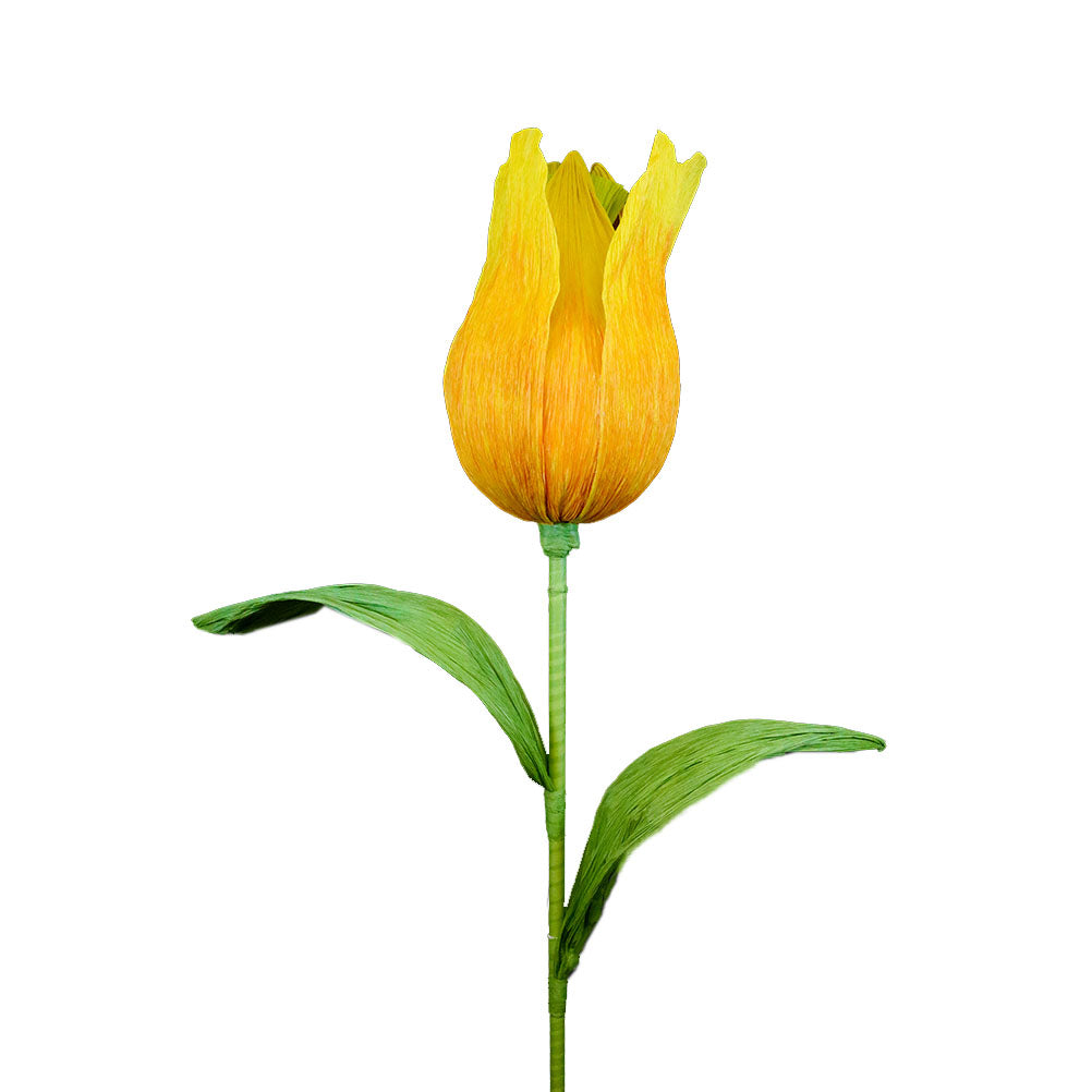 AC10101 GIANT TULIP,65in-8P/6.71'