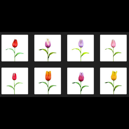 AC10102 GIANT TULIP,38in-12P/36/4.91'