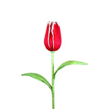 AC10101 GIANT TULIP,65in-8P/6.71'