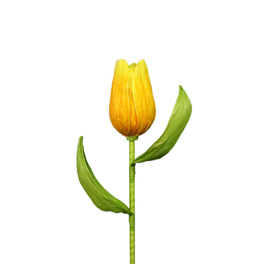 AC10102 GIANT TULIP,38in-12P/36/4.91'