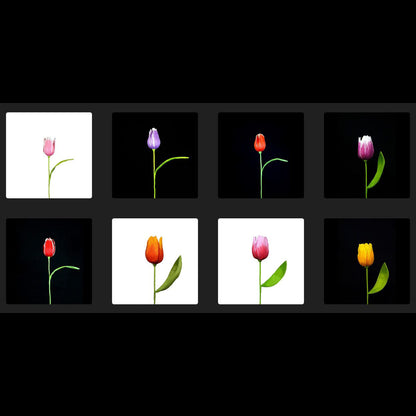AC10103 BIG TULIP,27.5in-16P/64/5.19'