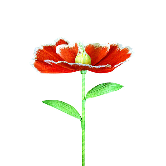 AC10104 GIANT POPPY,37.5in-12P/24/4.58'