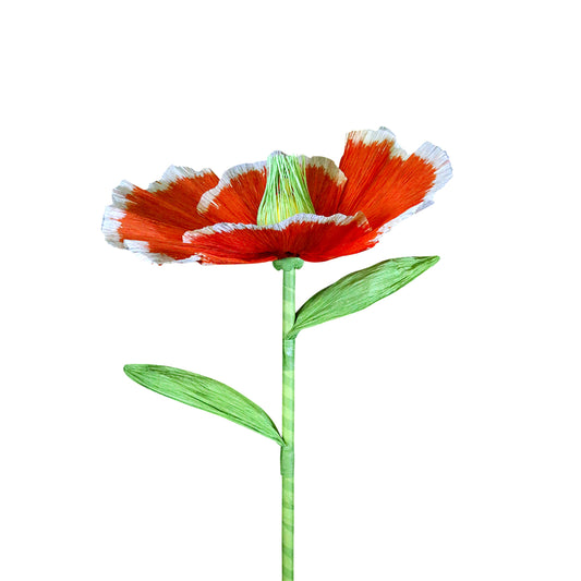 AC10105 GIANT POPPY,27.5in-12P/48/5.87'
