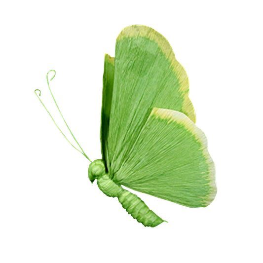 AC10107 BUTTERFLY,21.5in-12P/36/6.12'