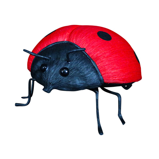 AC10117 LADYBUG,10.5in-6P/24/5.48'