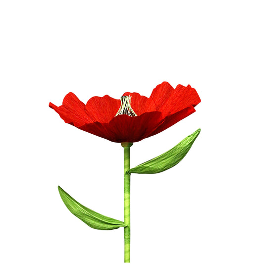 AC10119 GIANT POPPY,27.5in-12P/48/5.87'