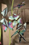 AC10144 ARTI BUTTERFLY GARLAND,5'-6P/4.15'