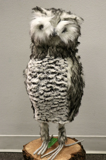 AC10186 OWL,21.5in-4P/3.81'