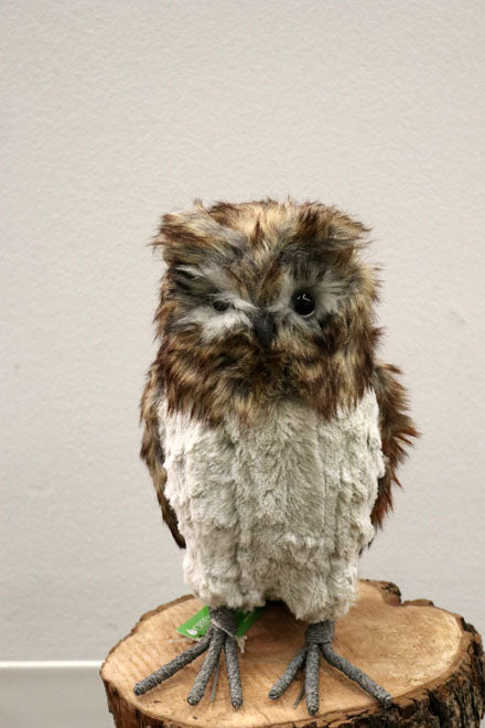 AC10188 OWL,14in-6P/1.85'