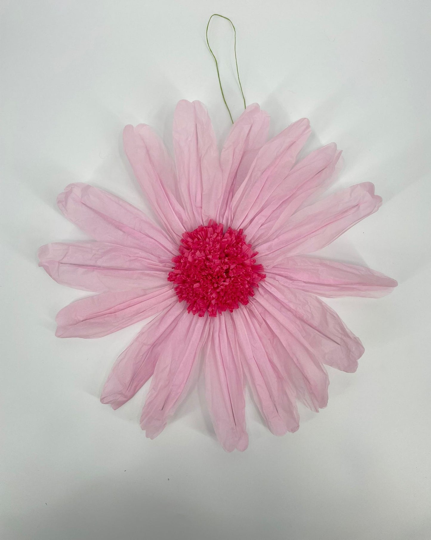 AC10218 FRENCH COSMOS HEAD,19.5in-24P