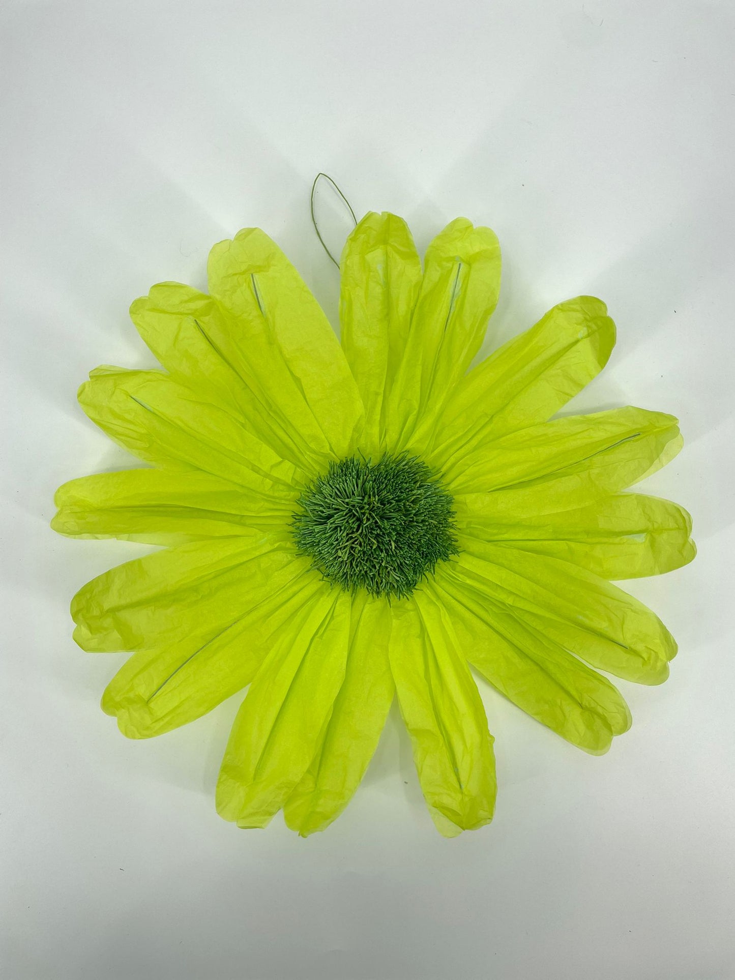 AC10220 FRENCH COSMOS HEAD,19.5in-24P