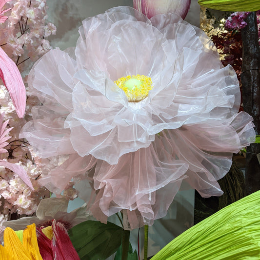 AC10251 GIANT LACE POPPY,6'