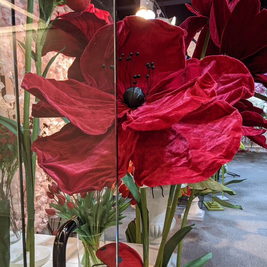AC10261 VELVET GIANT POPPY,63"