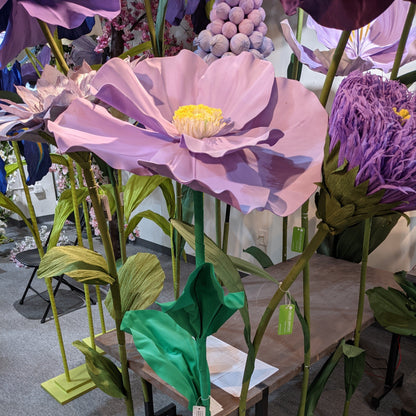 AC10273 GIANT POPPY,63in-1P
