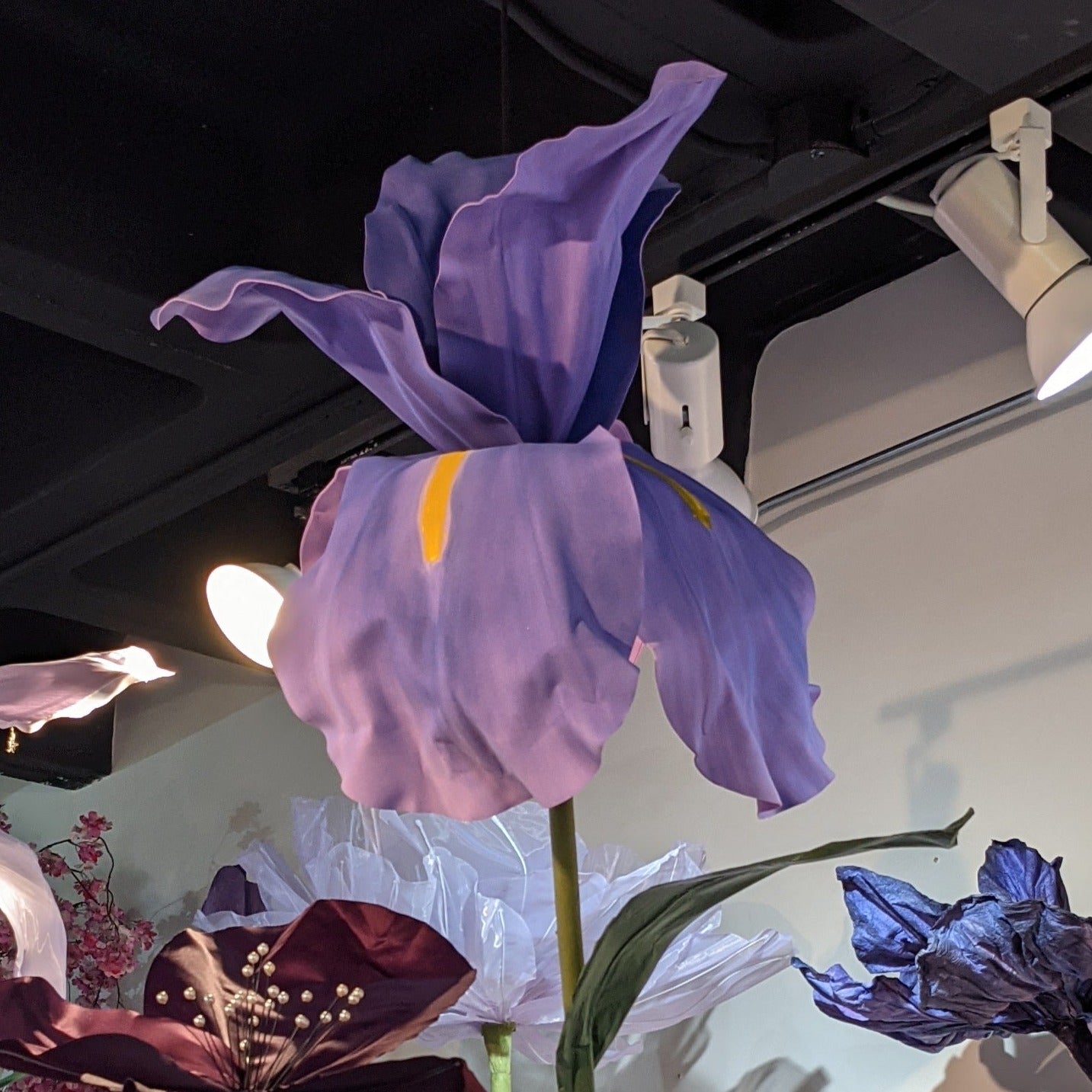 AC10282 GIANT IRIS,86.5"