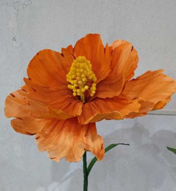 AC10365 BL GIANT HIBISCUS,5'