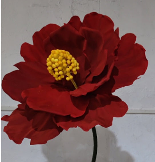 AC10365 BL GIANT HIBISCUS,5'