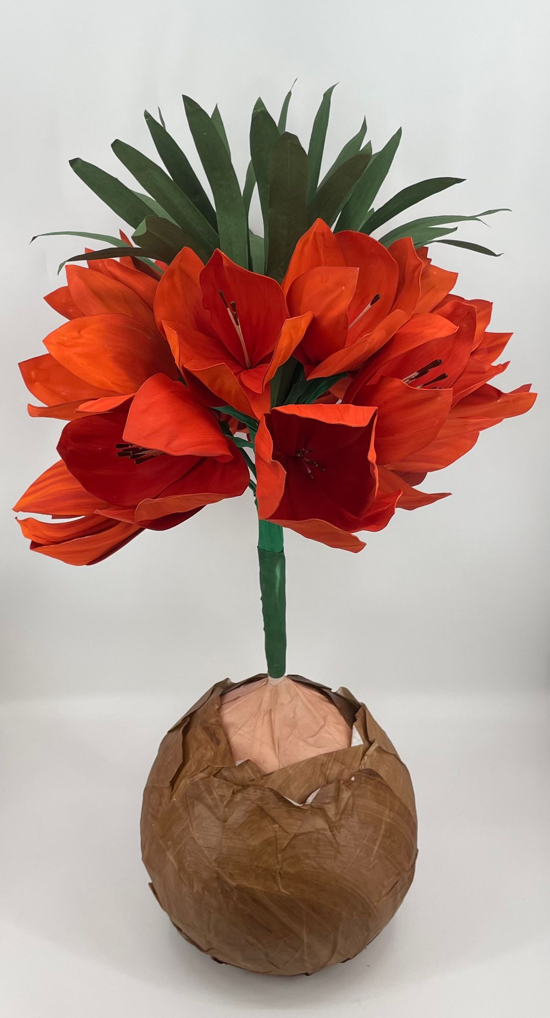 AC10367 GIANT FRITILLARIA,98"