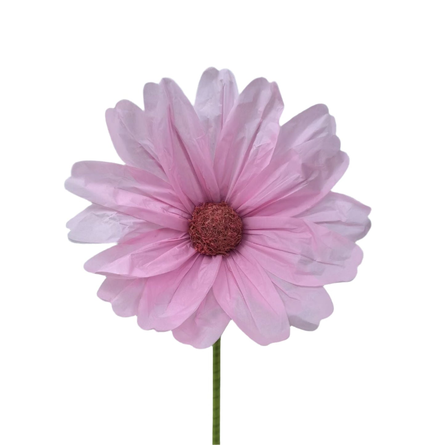AC10431 GIANT COSMOS,5'
