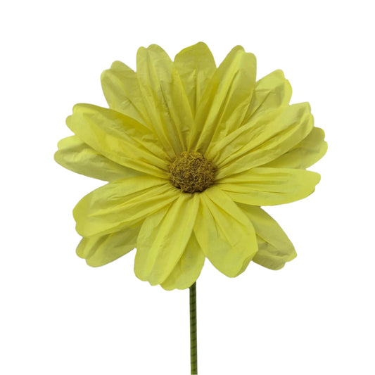 AC10431 GIANT COSMOS,5'