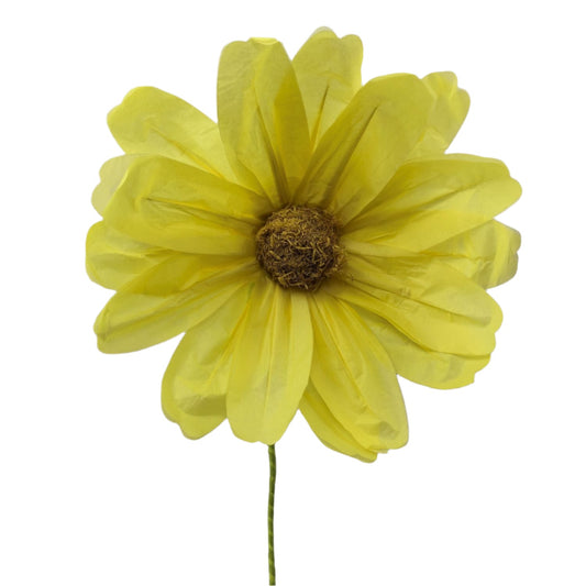 AC10432 BIG COSMOS,43"