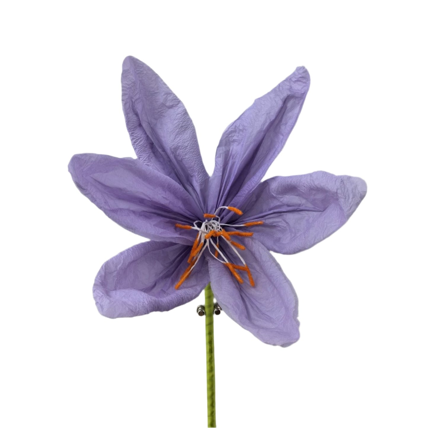 AC10433 GIANT LILY,56"