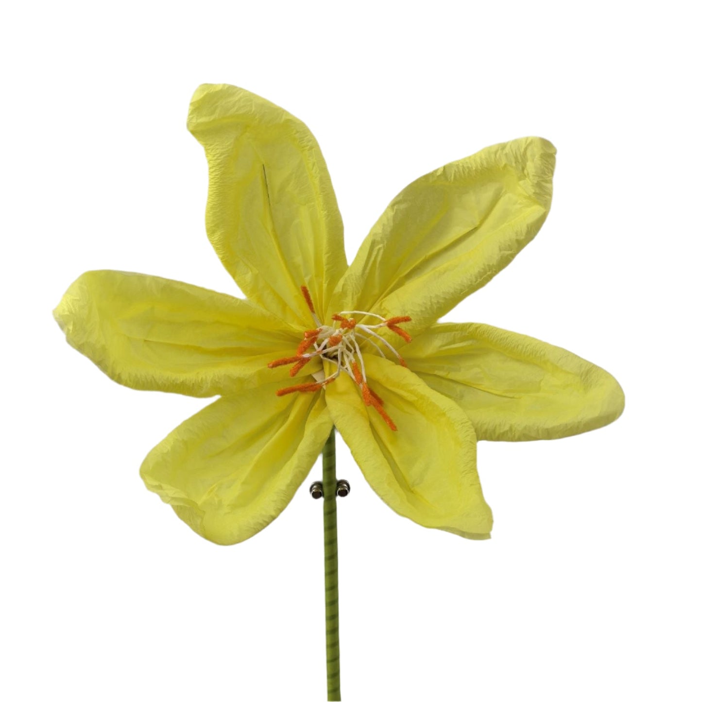 AC10433 GIANT LILY,56"