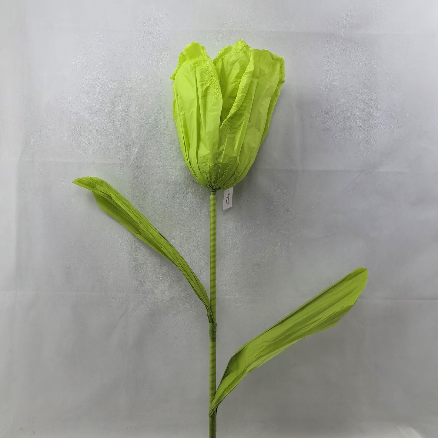 AC10435 GIANT TULIP,6'