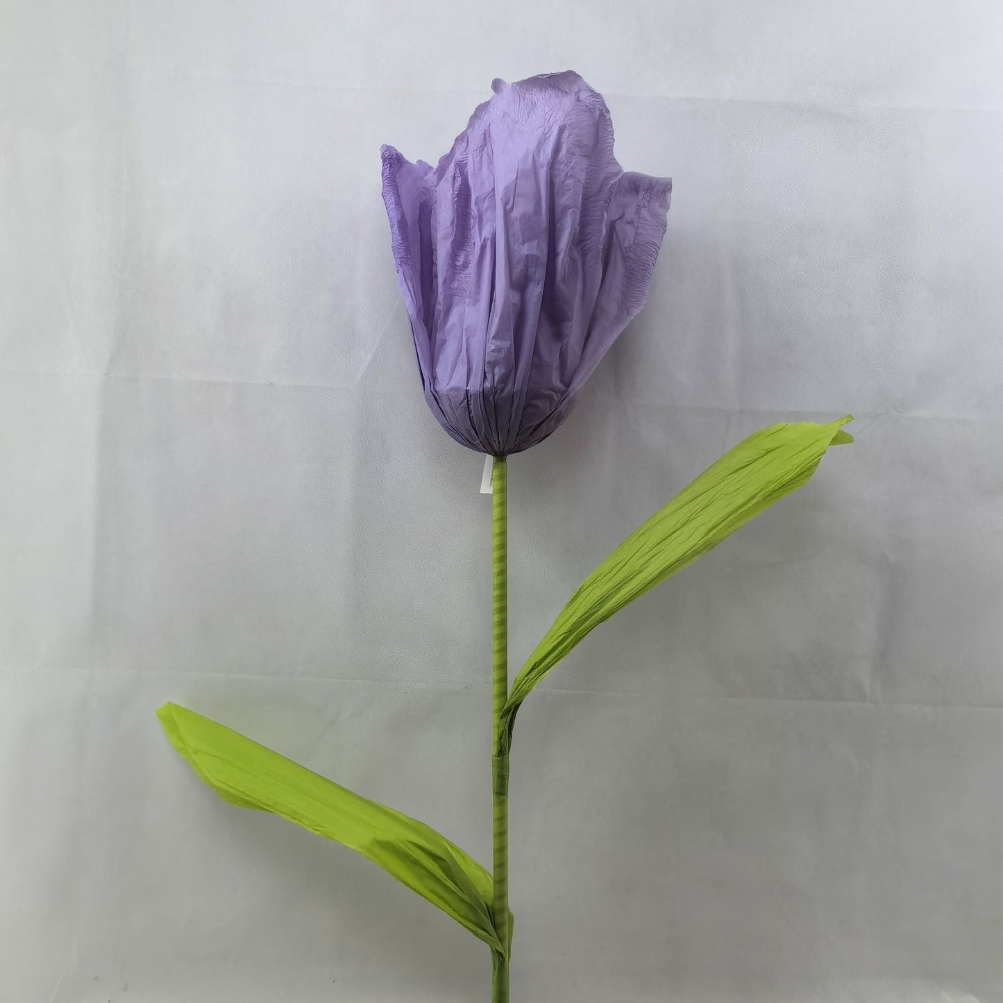 AC10435 GIANT TULIP,6'