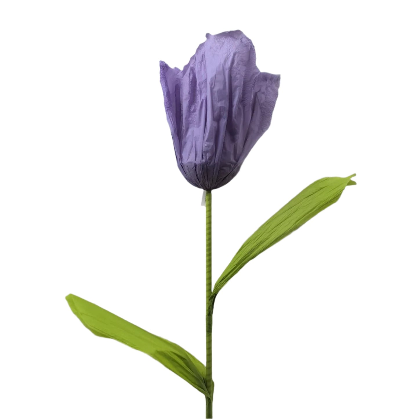 AC10435 GIANT TULIP,6'