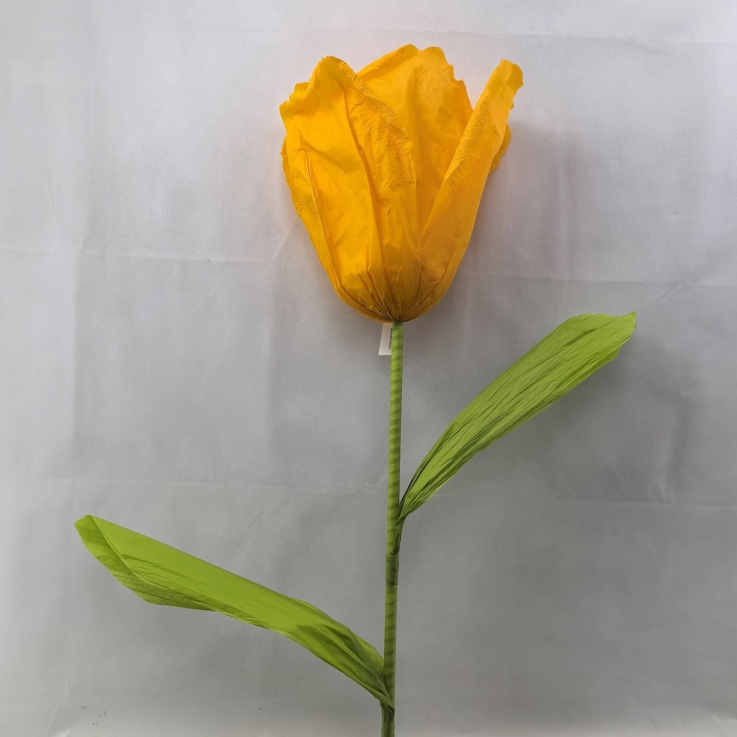 AC10435 GIANT TULIP,6'