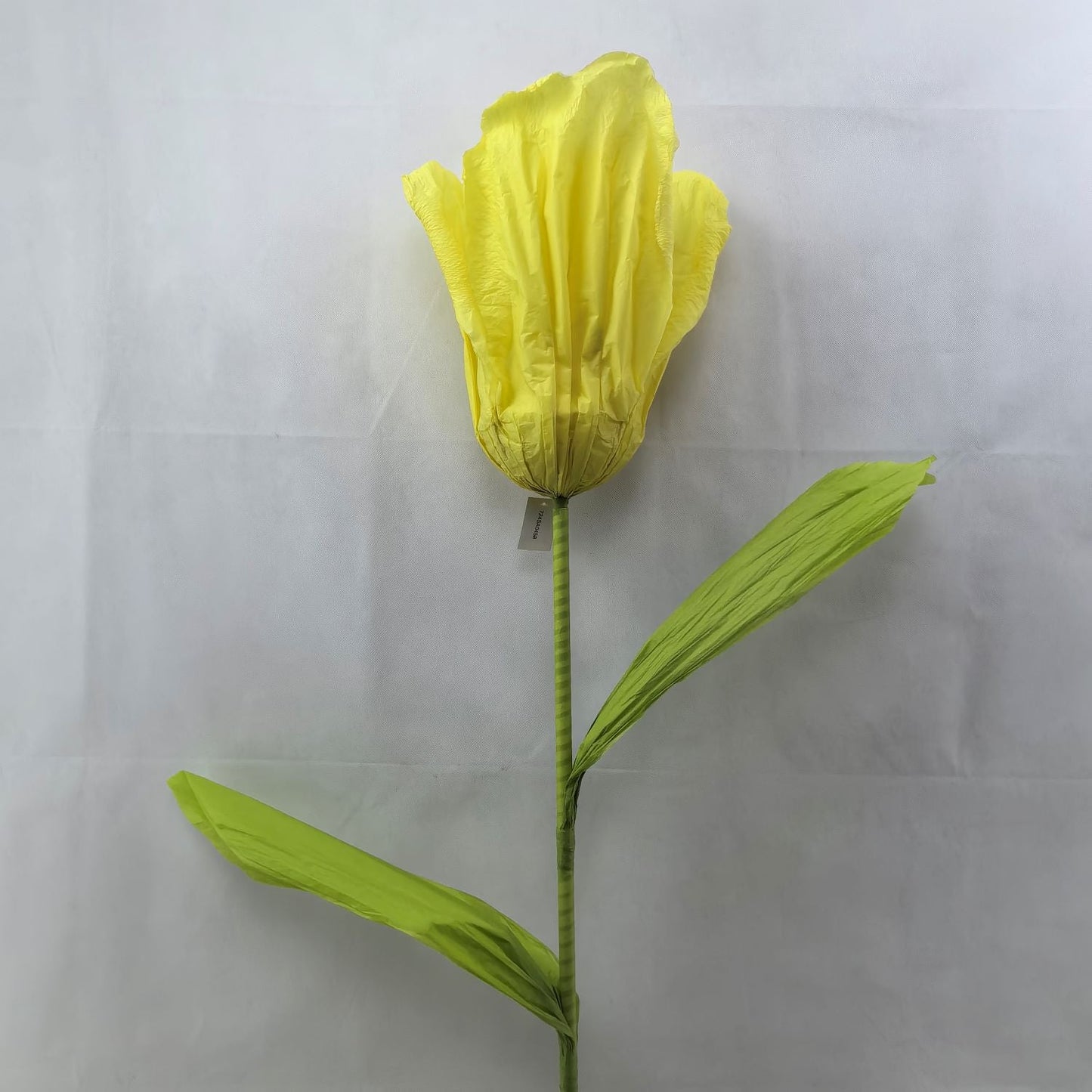 AC10435 GIANT TULIP,6'