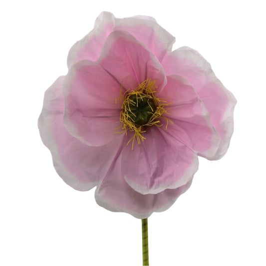AC10439 GIANT POPPY,63"