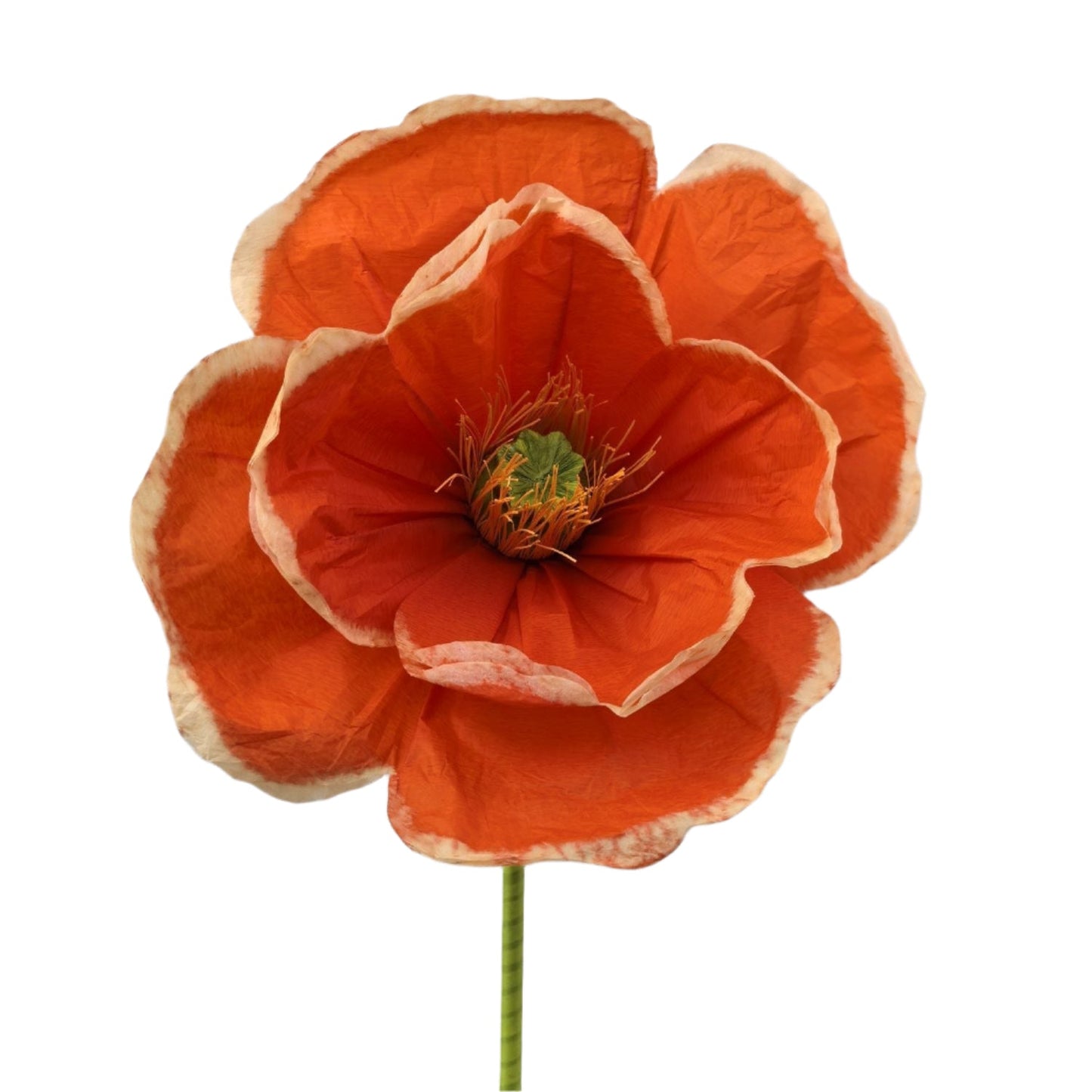 AC10439 GIANT POPPY,63"