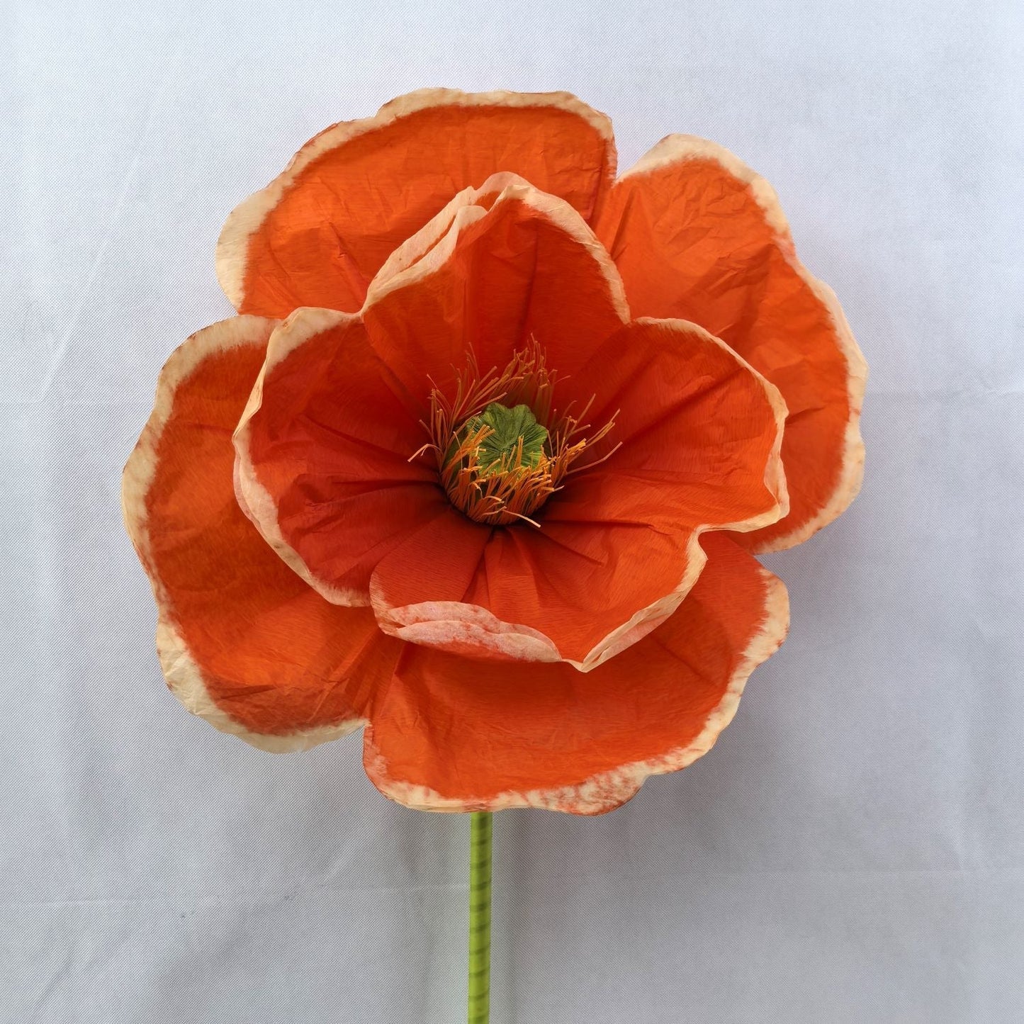 AC10439 GIANT POPPY,63"