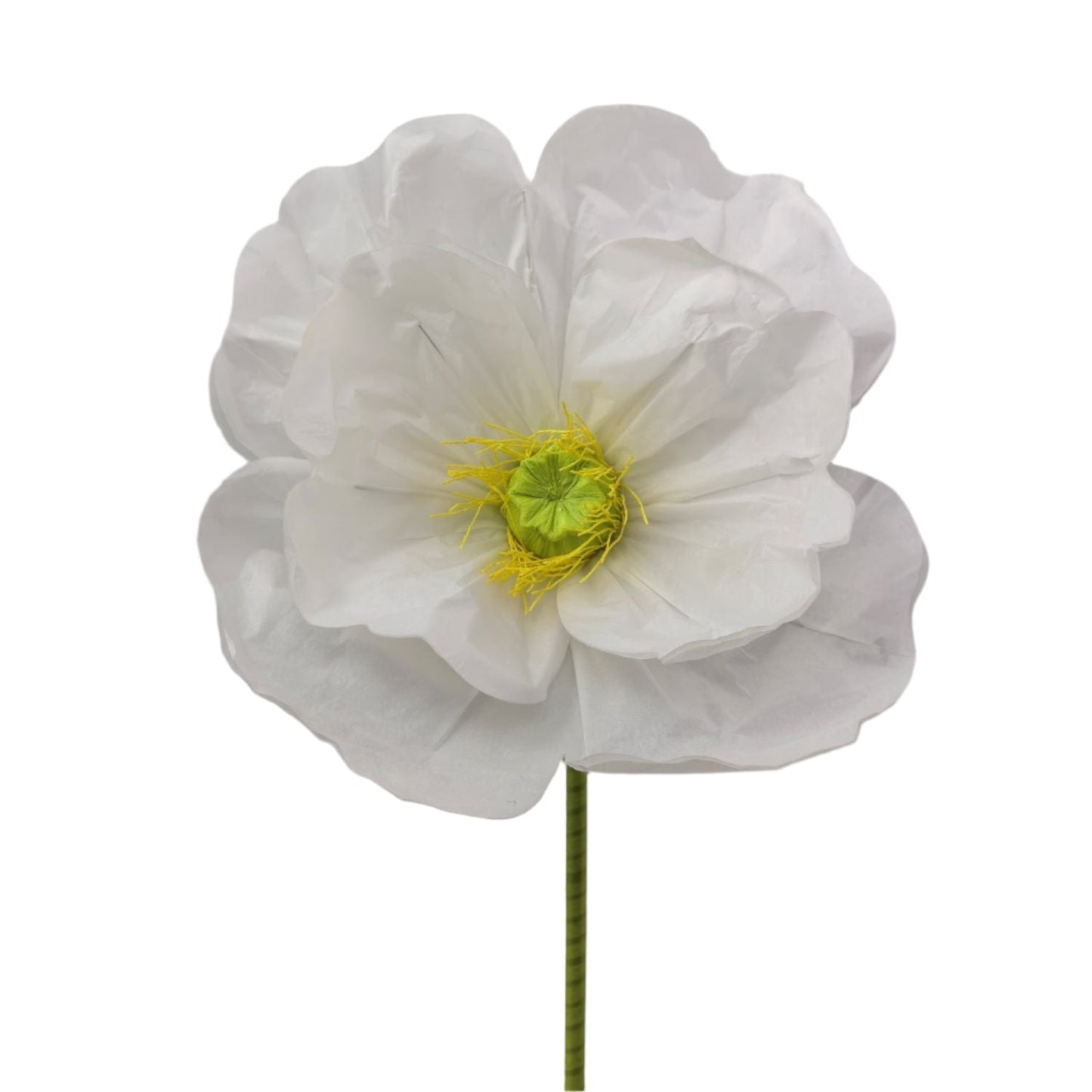 AC10439 GIANT POPPY,63"