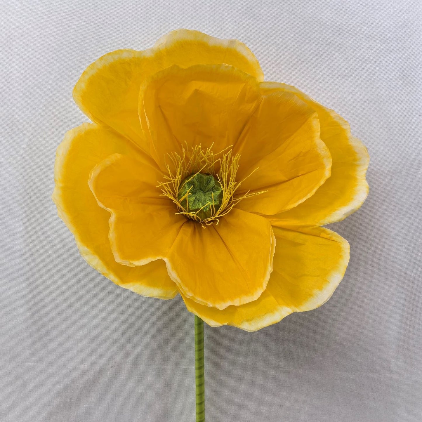 AC10439 GIANT POPPY,63"