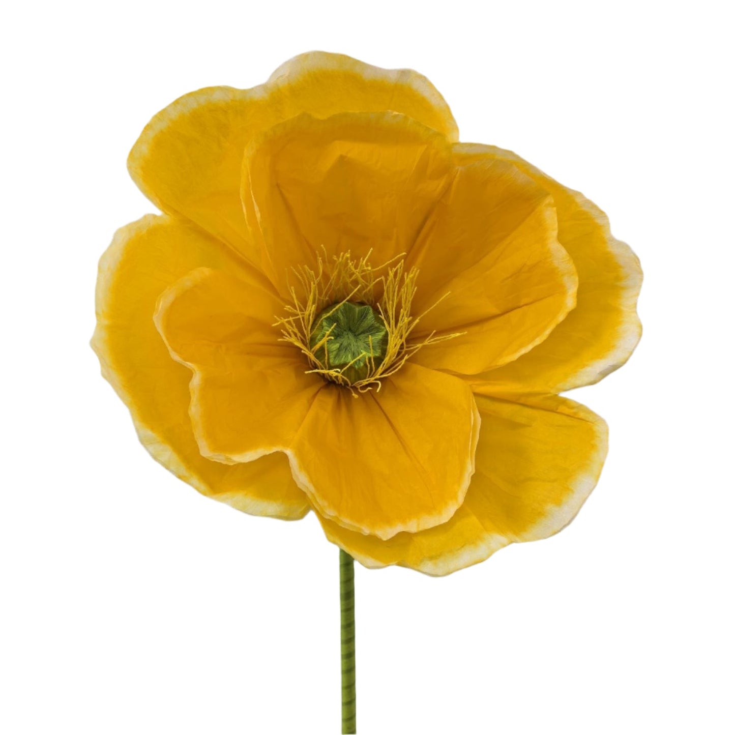 AC10439 GIANT POPPY,63"