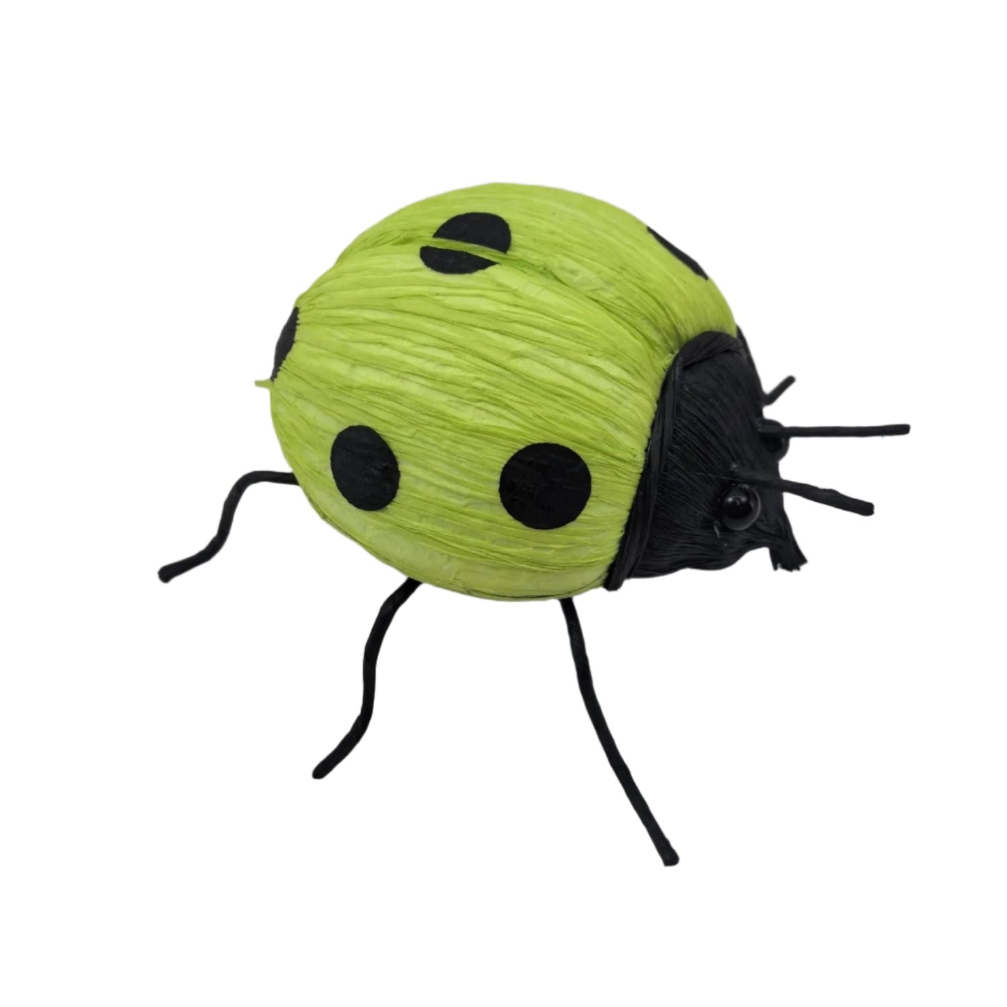 AC10451 LADYBUG,3.5"