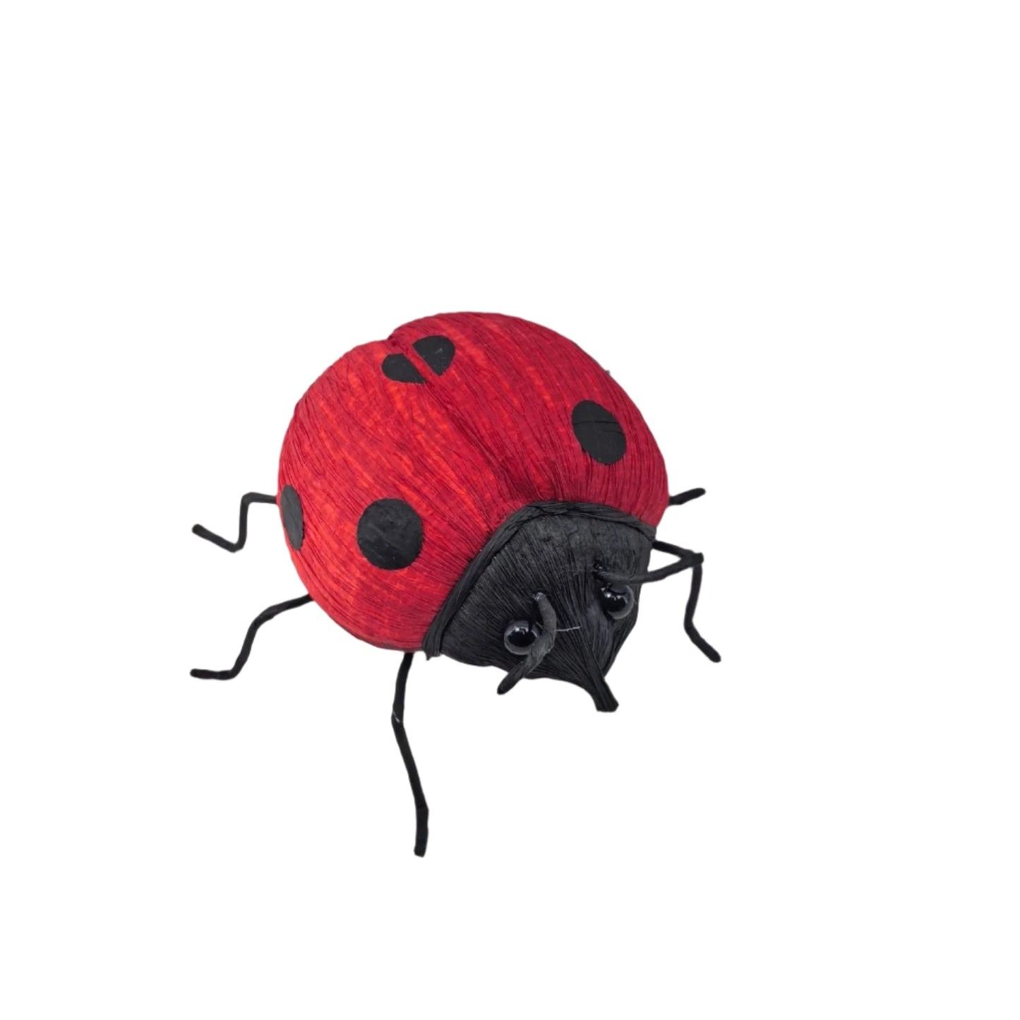 AC10451 LADYBUG,3.5"