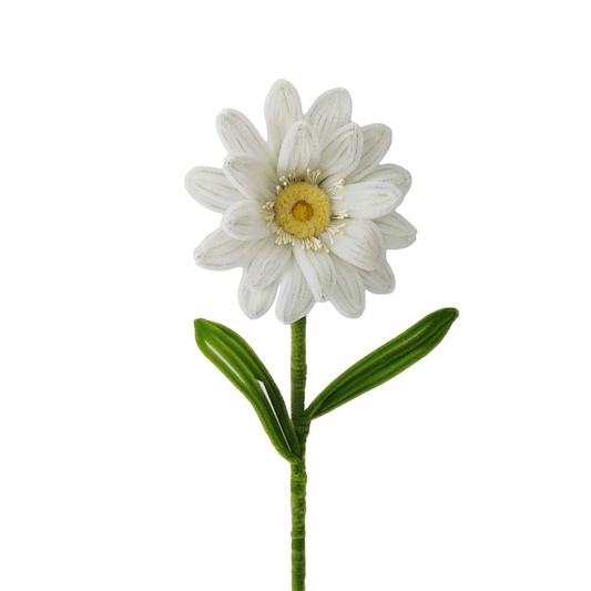 AC10502 DAISY 19.5in-24/192P