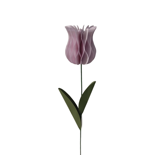 AC10515 TULIP 18in-24/360P