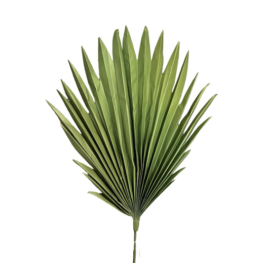 AC10518 FAN PALM 40in-12P