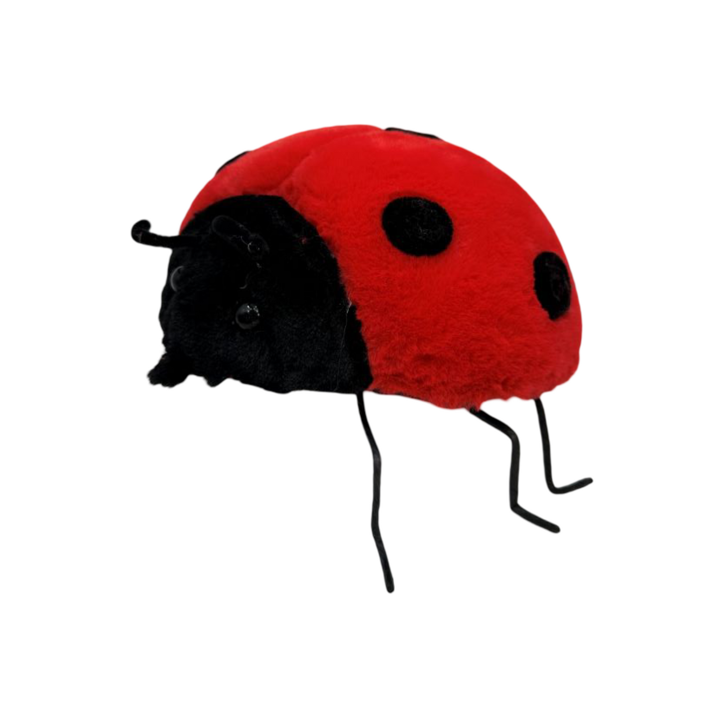 AC10524 LADYBUG D11in
