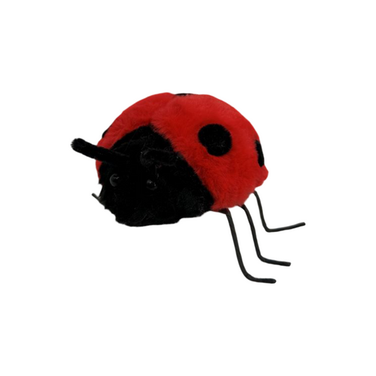 AC10526 LADYBUG D6in